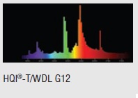  ������ ���� �����